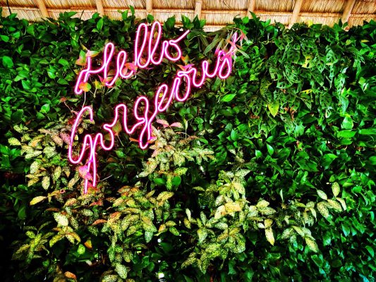 hello-gorgeous-pink-neon-sign-at-a-tropical-beac-2023-11-27-05-09-00-utc